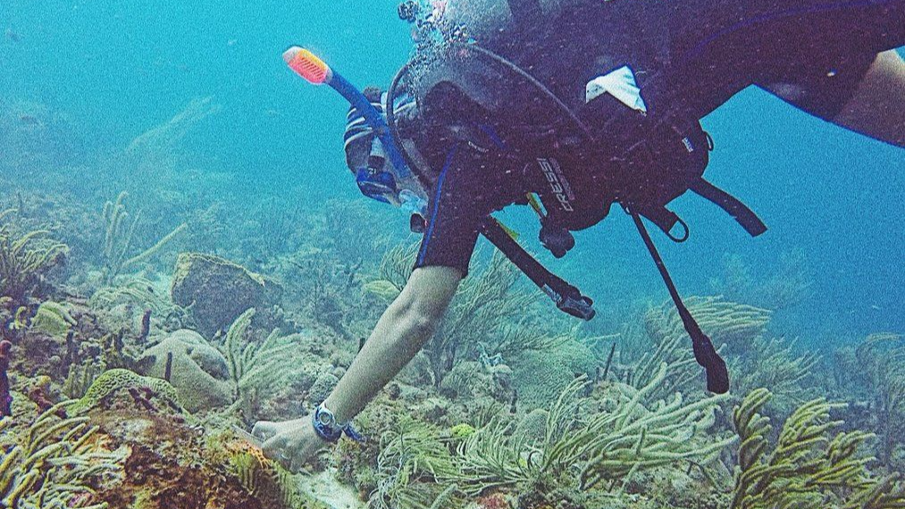 Caribbean Reef Buddy volunteer review Rhea